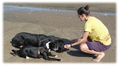 giochi sulla spiaggia